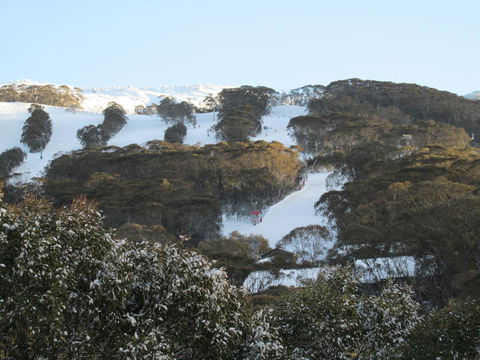 CHILL-OUT - Thredbo - Australian Directory 8