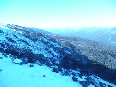 CHILL-OUT - Thredbo - Australian Directory 39