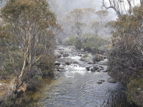 CHILL-OUT - Thredbo - Australian Directory 23