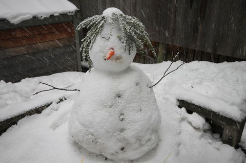 CHILL-OUT - Thredbo - Australian Directory 34