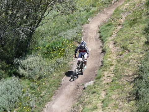 CHILL-OUT - Thredbo - Australian Directory 18