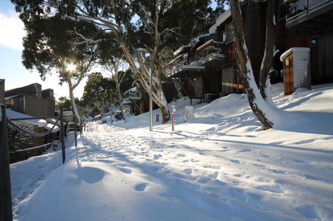 CHILL-OUT - Thredbo - Australian Directory 31