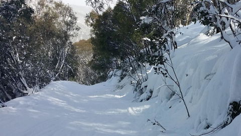 CHILL-OUT - Thredbo - Australian Directory 17