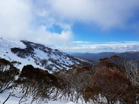 CHILL-OUT - Thredbo - Australian Directory 28