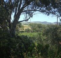 Archery Road Estate - Australian Directory