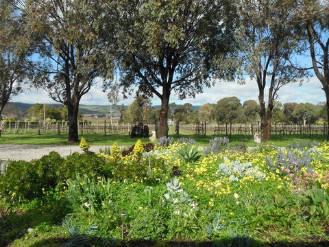 Linger Longer Vineyard - Australian Directory 17