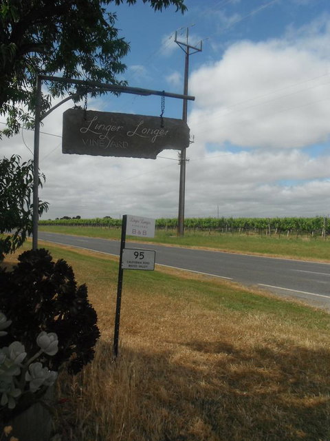 Linger Longer Vineyard - Australian Directory 19