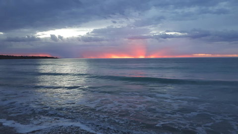 Linger Longer Vineyard - Australian Directory 21