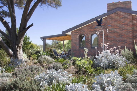 Linger Longer Vineyard - Australian Directory 13