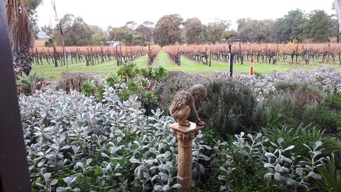 Linger Longer Vineyard - Australian Directory 4