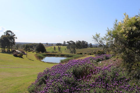 Beltana Villas - Australian Directory 7