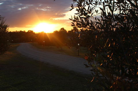 Beltana Villas - Australian Directory 26
