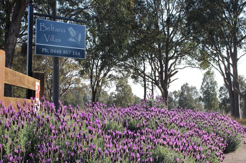 Beltana Villas - Australian Directory 10