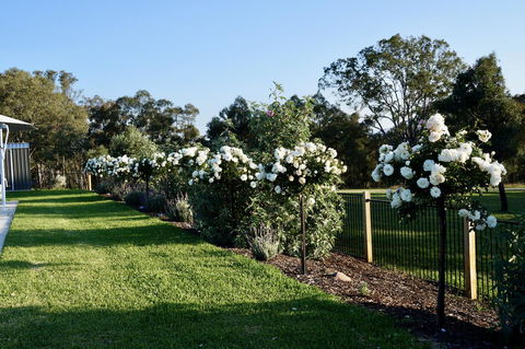 Beltana Villas - Australian Directory 2