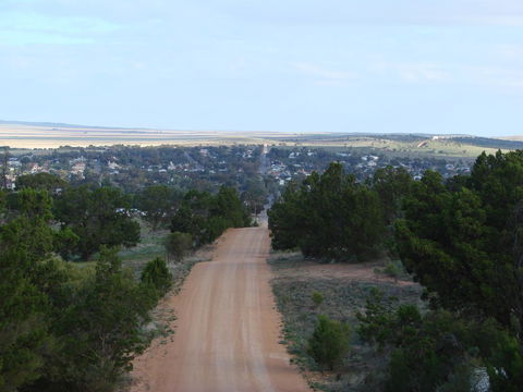 Andy\'s Accommodation - Australian Directory 16
