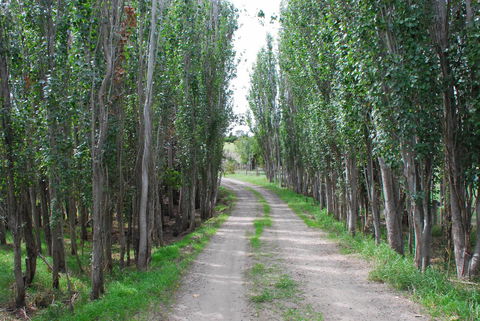 Back Valley Farmstay Bed And Breakfast - Australian Directory 2