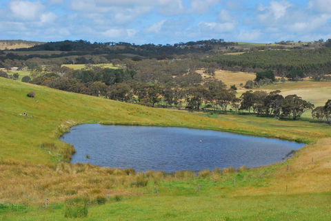 Back Valley Farmstay Bed And Breakfast - Australian Directory 19