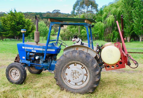 Back Valley Farmstay Bed And Breakfast - Australian Directory 14