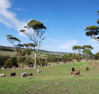 Lisieux Farm Bed and Breakfast - Australian Directory