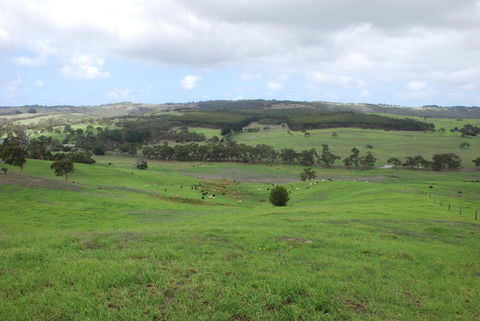 Back Valley Farmstay Bed And Breakfast - Australian Directory 15