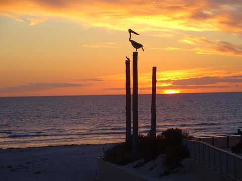 Aurora Holiday Apartment @West Beach - Australian Directory 12