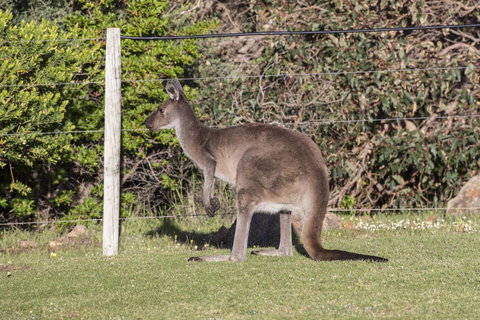 Chandlers Smiths Beach Villas - Australian Directory 15