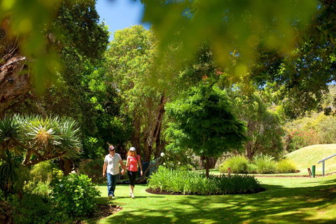 Seashells Yallingup - Australian Directory 5
