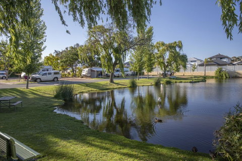 Karrinyup Waters Resort - Australian Directory 44