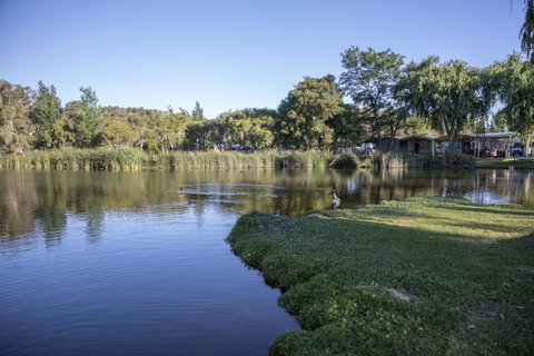 Karrinyup Waters Resort - Australian Directory 15