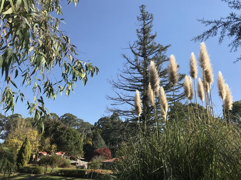 Forest Lodge Resort - Australian Directory 24