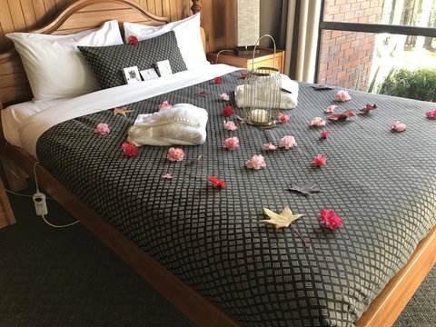 Forest Lodge Resort - Australian Directory 3