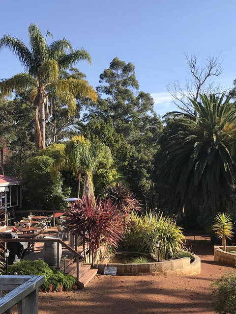 Forest Lodge Resort - Australian Directory 8
