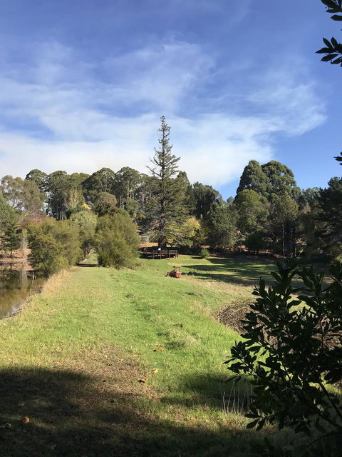 Forest Lodge Resort - Australian Directory 31