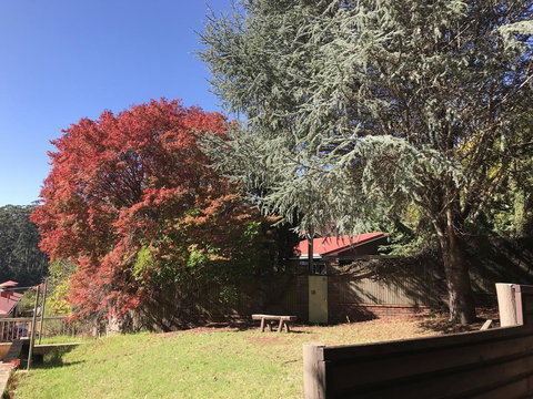 Forest Lodge Resort - Australian Directory 42