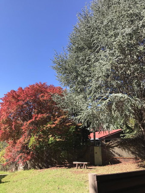 Forest Lodge Resort - Australian Directory 35