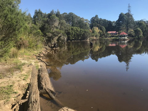 Forest Lodge Resort - Australian Directory 23