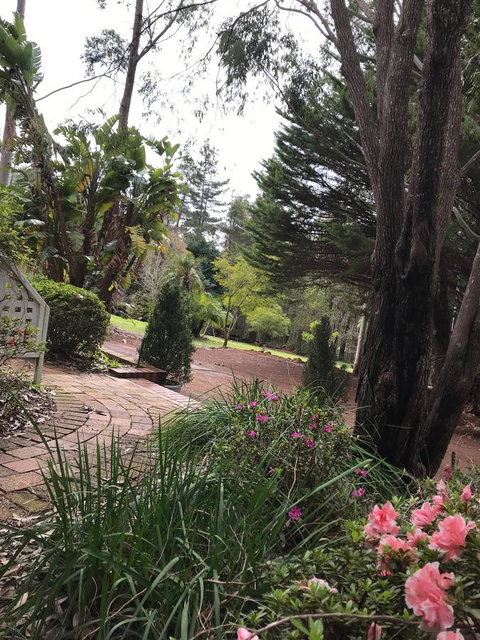 Forest Lodge Resort - Australian Directory 10