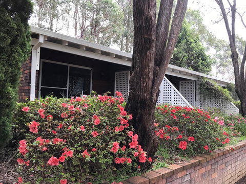 Forest Lodge Resort - Australian Directory 13