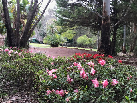 Forest Lodge Resort - Australian Directory 12