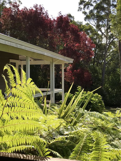 Forest Lodge Resort - Australian Directory 14