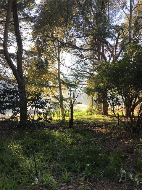 Forest Lodge Resort - Australian Directory 33