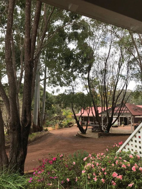 Forest Lodge Resort - Australian Directory 9