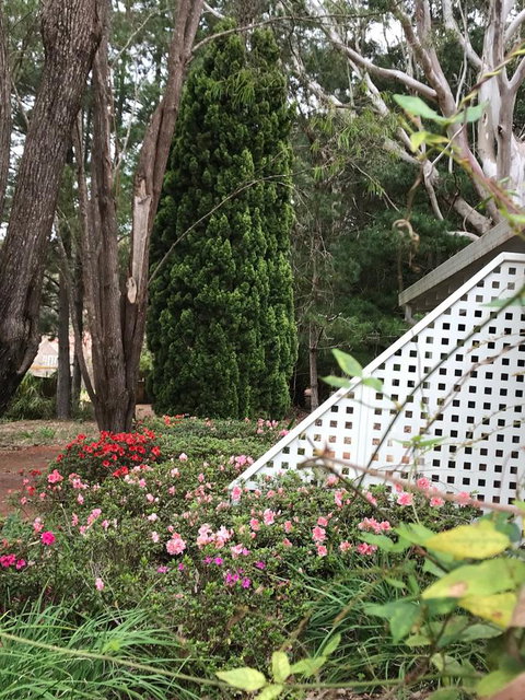 Forest Lodge Resort - Australian Directory 7