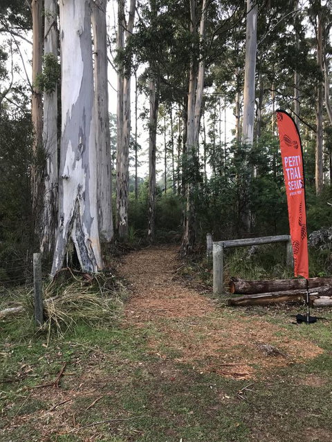 Forest Lodge Resort - Australian Directory 28