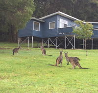 Blue House Denmark - Australian Directory