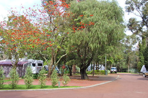 Margaret River Tourist Park - Australian Directory 43