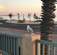 Shark Bay Seafront Apartments - Australian Directory