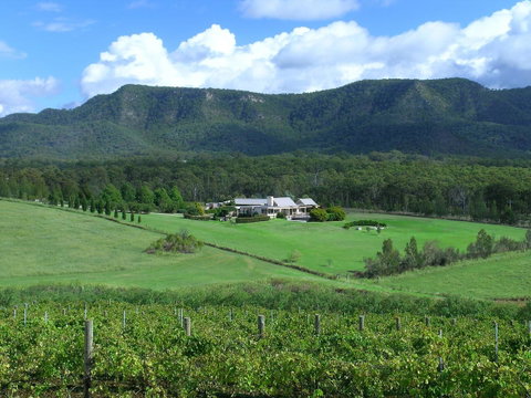 Grapevines Boutique Accommodation - Australian Directory 23