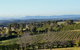 Grapevines Boutique Accommodation - thumb 21