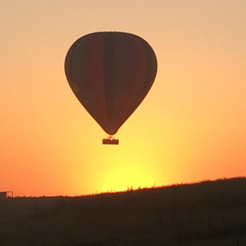 Grapevines Boutique Accommodation - Australian Directory 13